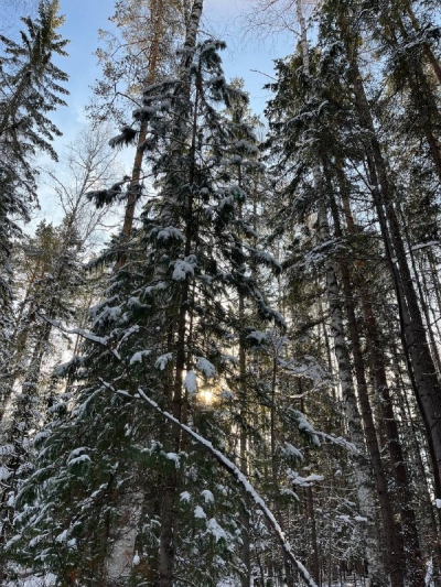 ВОЗВРАЩЕНИЕ В ИРКУТСК 19886